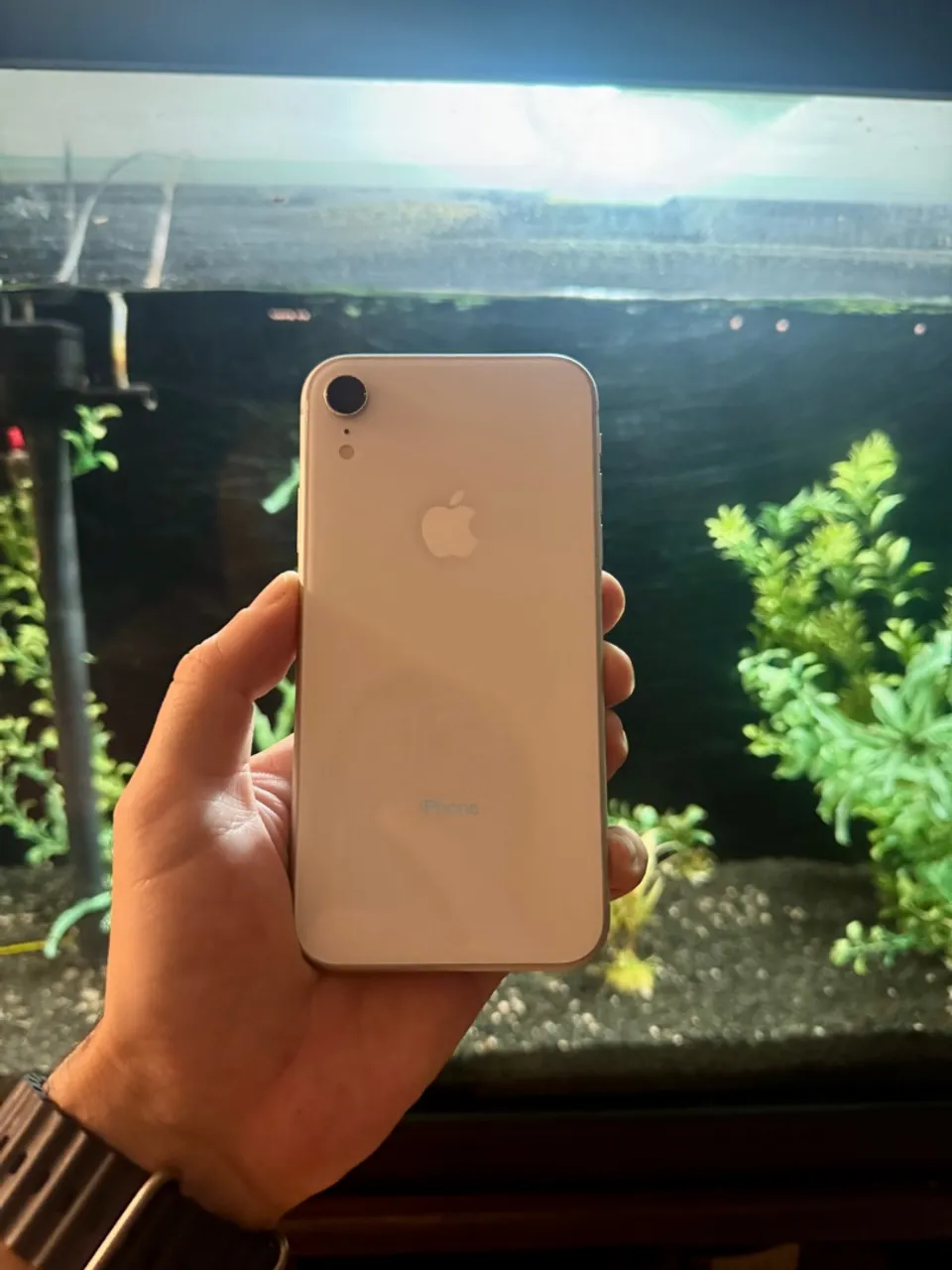 iPhone XR 128GB