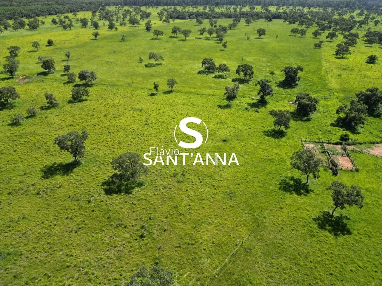 Vende-se fazenda em Três Lagoas - MS