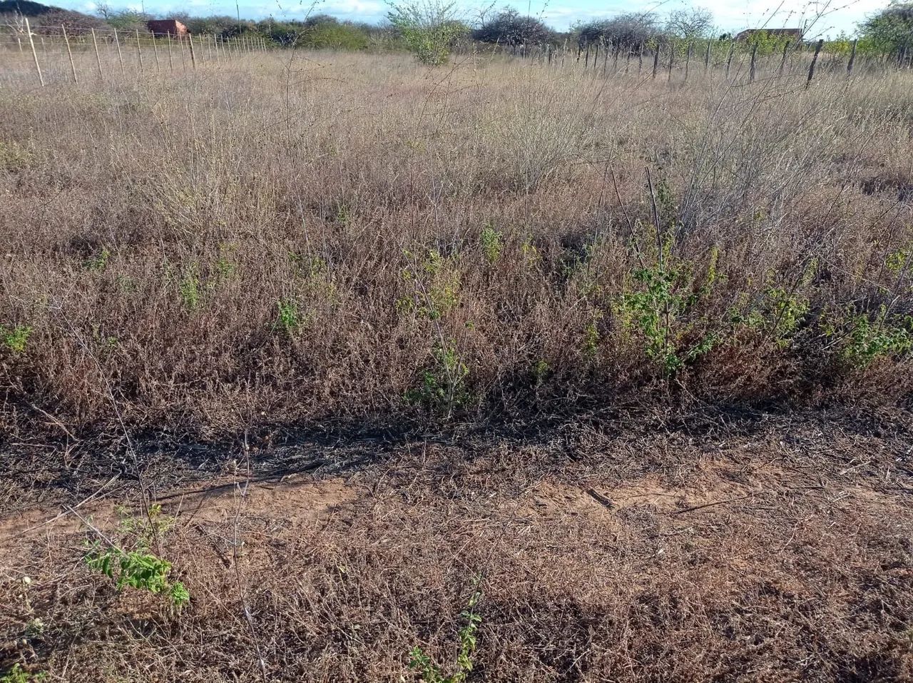 Terreno a venda