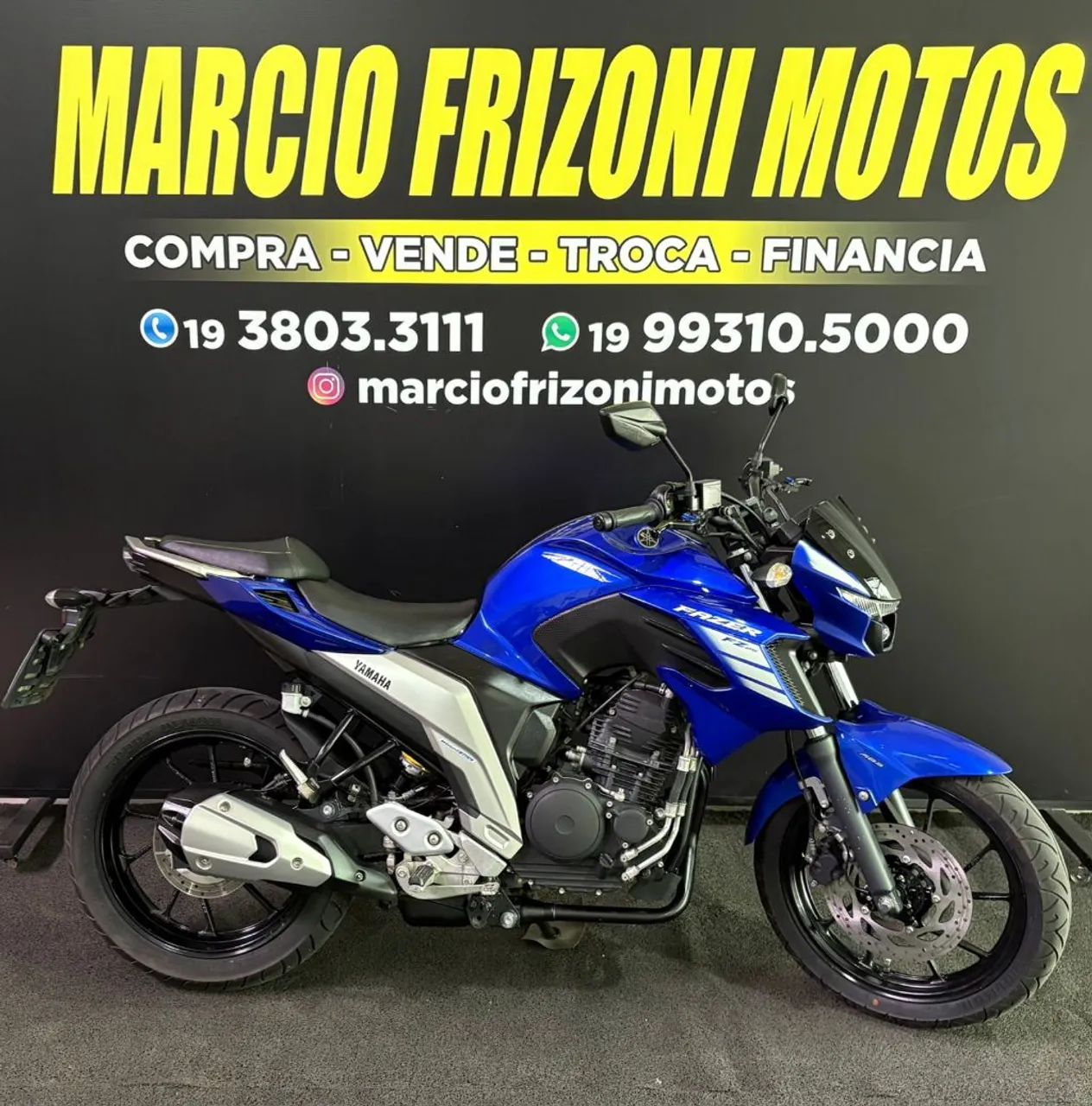 FZ25 250 FAZER FLEX