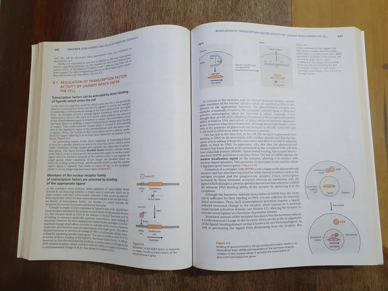Gene Control - David S. Latchman (Inglês) - Foto 5