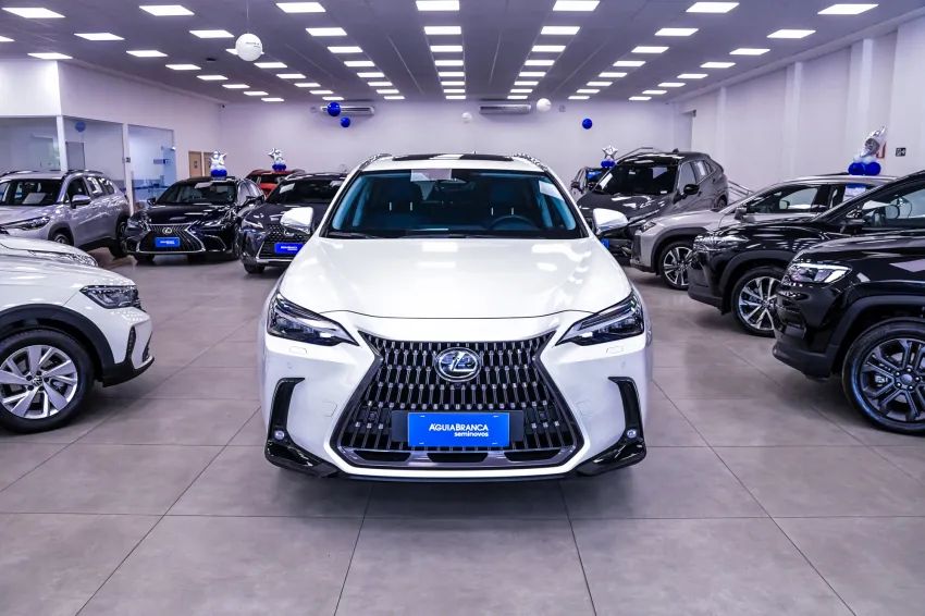 Lexus NX-350h Luxury 2.5 16V Aut. (hybrid), foto 3 de 19