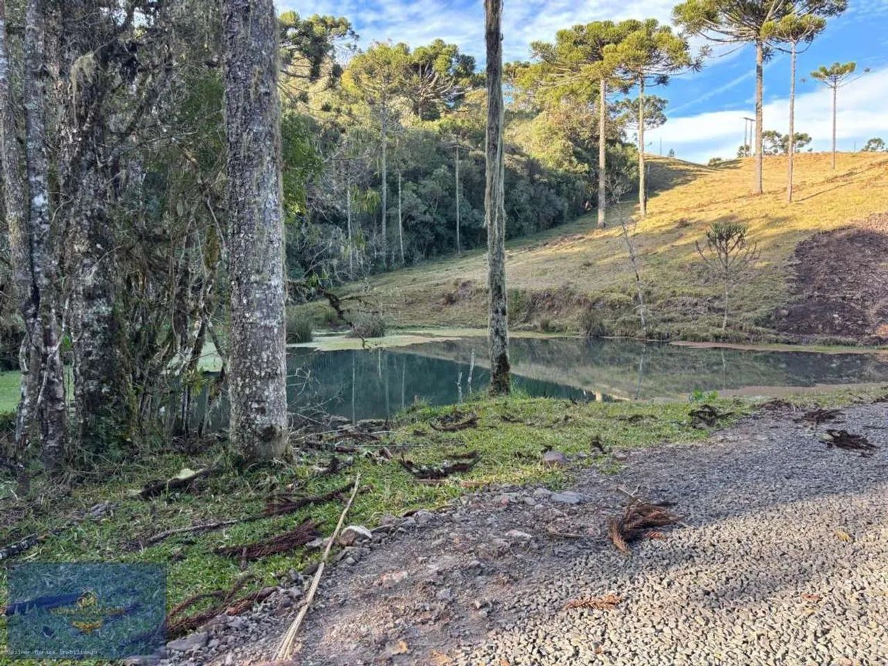 Área Rural para Venda em Urubici, Panelão - Foto 3