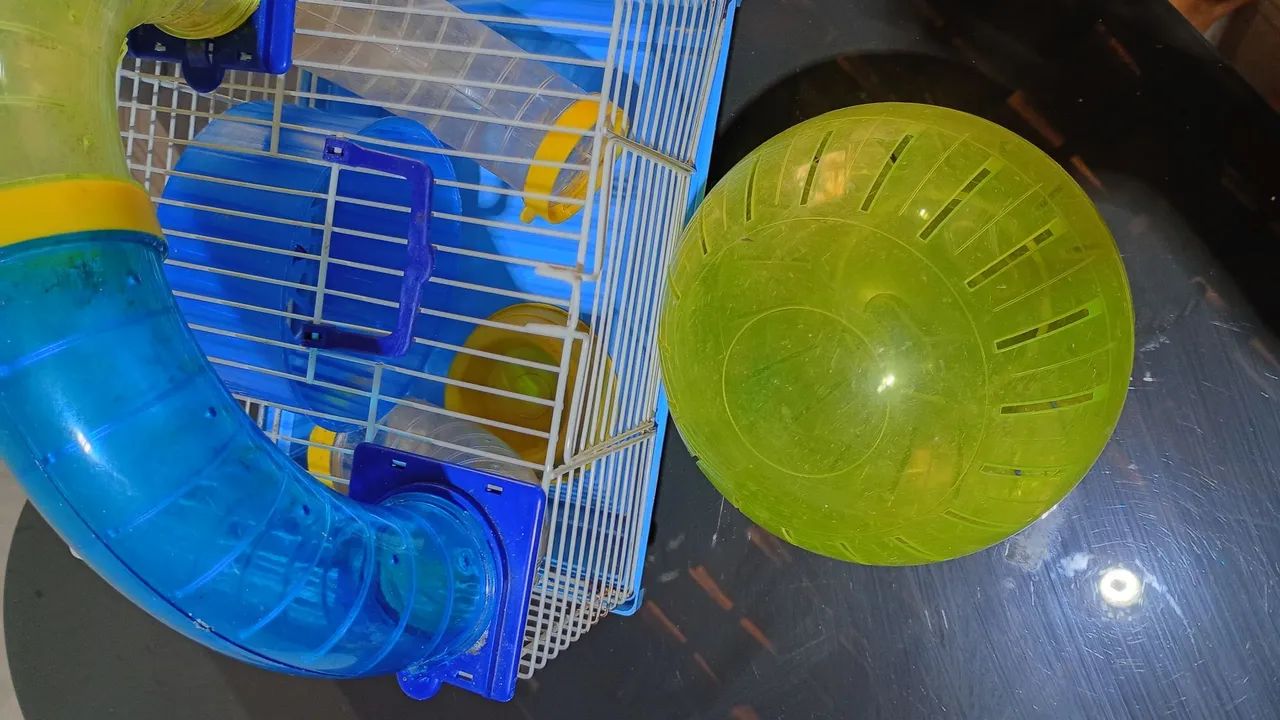 Gaiola pra ramister com bola - Foto 2