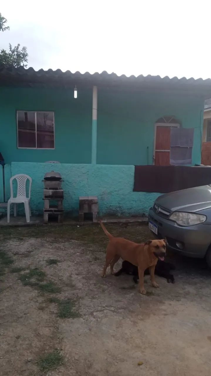 Foto - Magé - Jardim da Paz (Guia de Pacobaíba)