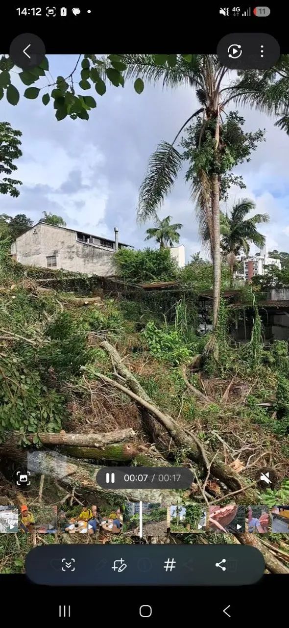 Preciso alguem que trabalhe com roçadeira pago 160 diária. 
