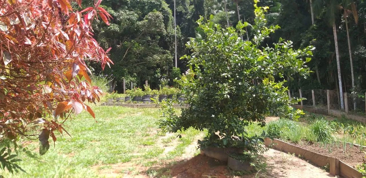 Sitio Boa Esperança  - Foto 4