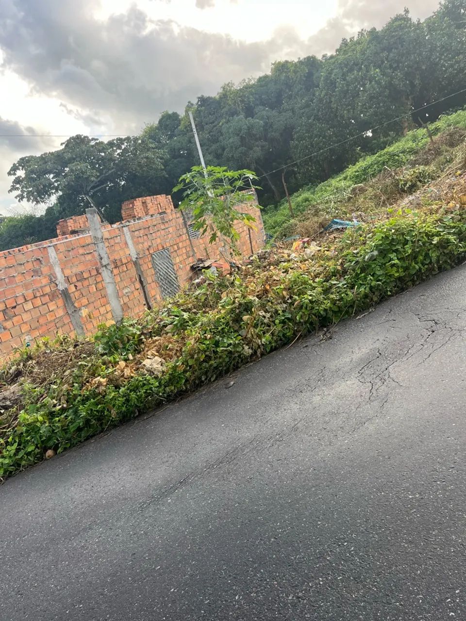 Terreno