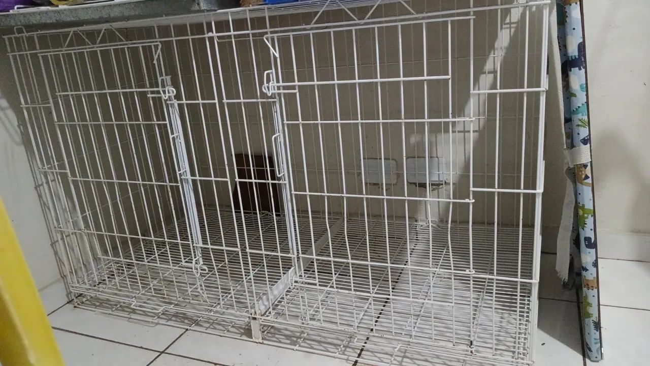 Gaiolas pet shop - Foto 2