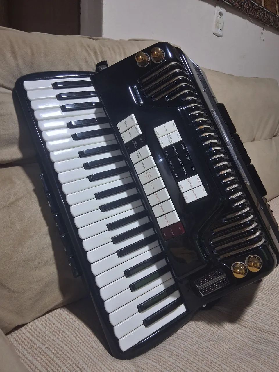 Acordeon a venda - Foto 3