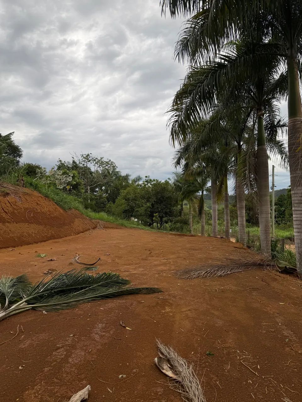 Vende-se chácara no Lavrinha/Quilombo - Foto 3