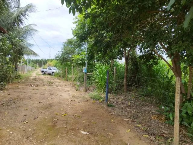 Chacara a venda - Foto 3