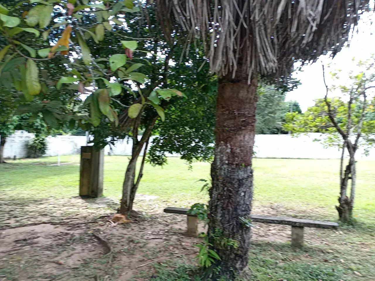 Terreno No Tarumã-Açu - Foto 5
