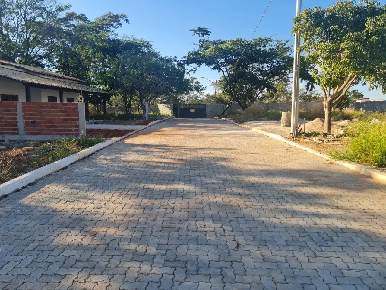 Jardim Botânico Avenida do Sol - Foto 5