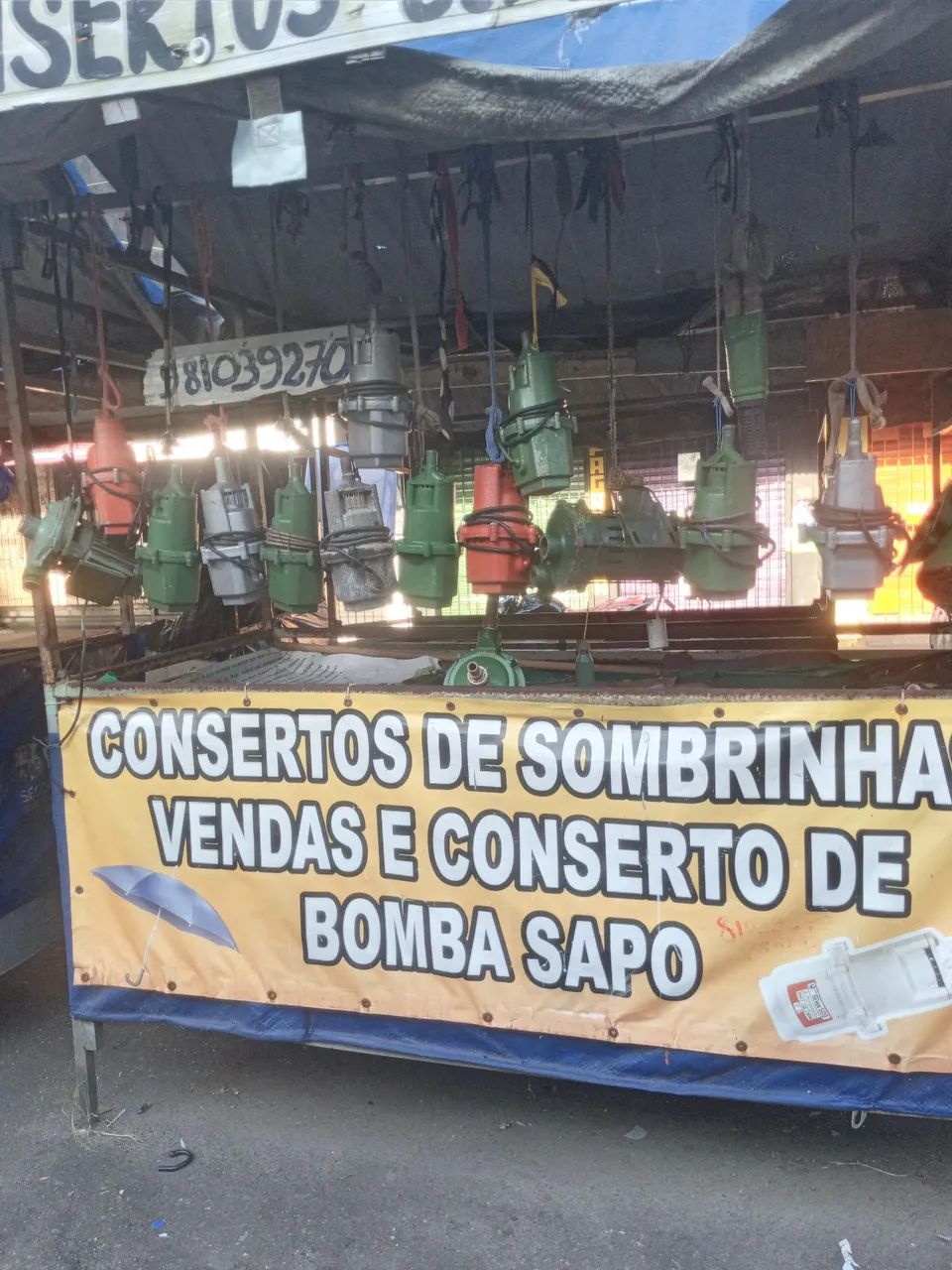 Bomba sapo - Foto 4