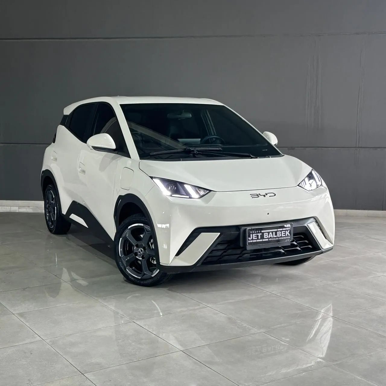BYD Dolphin Mini (Elétrico) 2025 - Foto 2