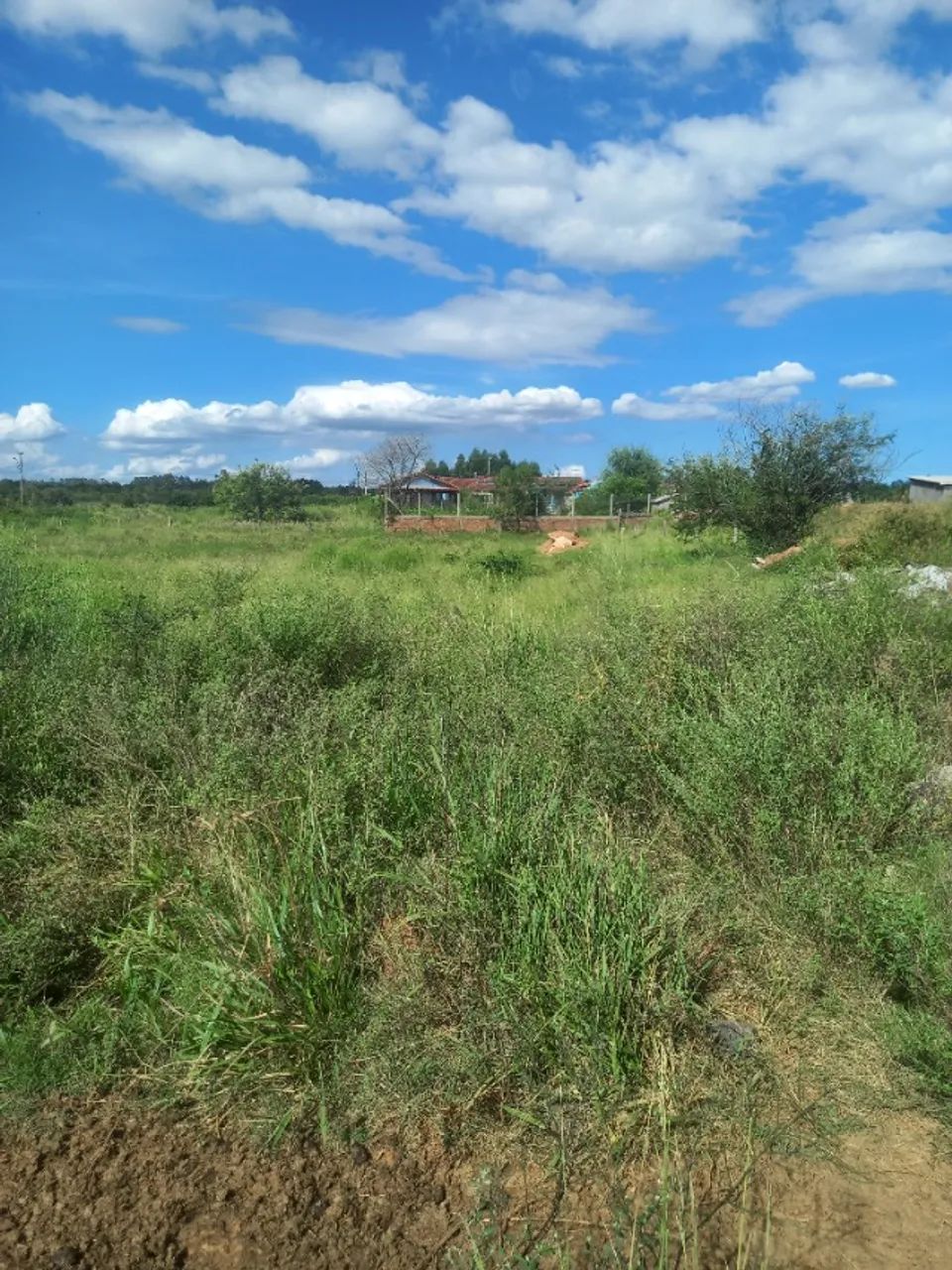 Foto - Nova Santa Rita - 