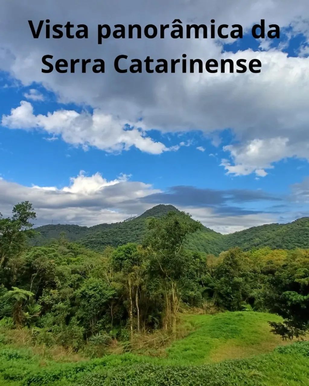 Vende-se sítio na Serra Catarinense - um refúgio especial - Foto 2
