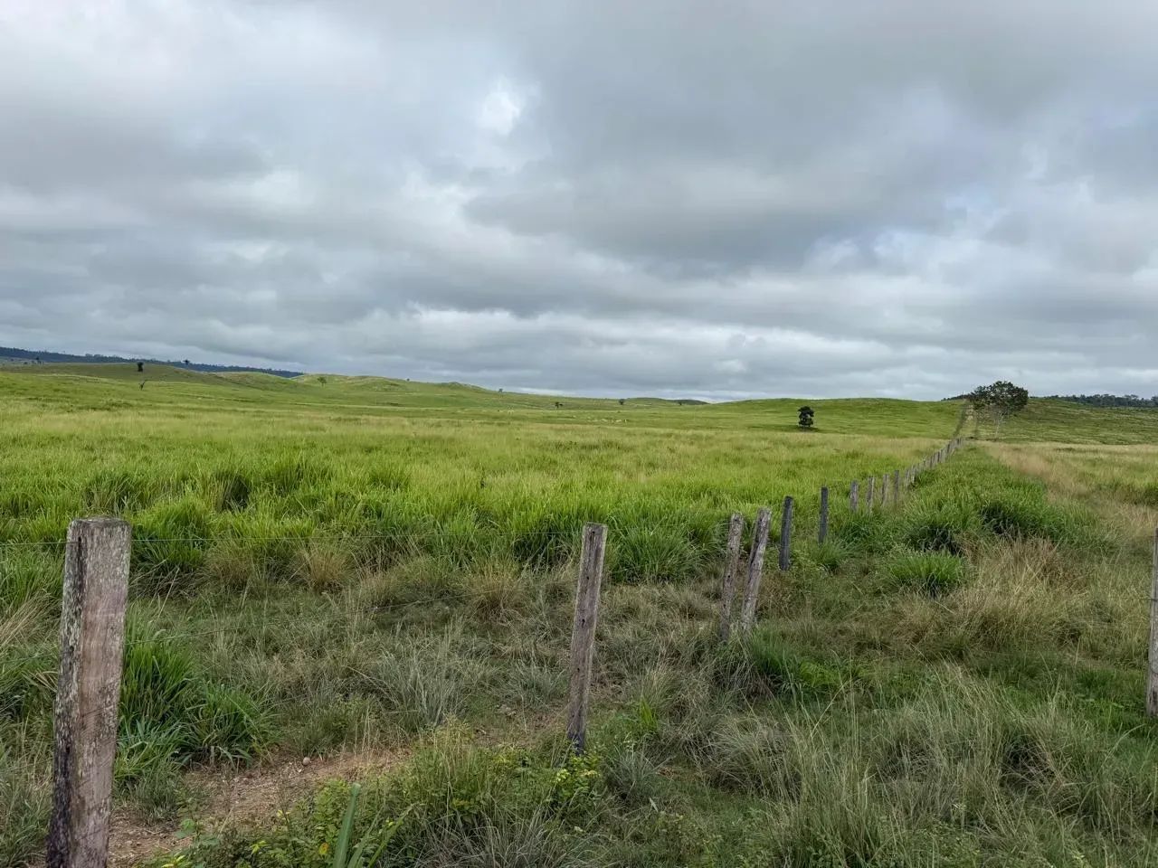 Fazenda Próximo a Marabá - Foto 5