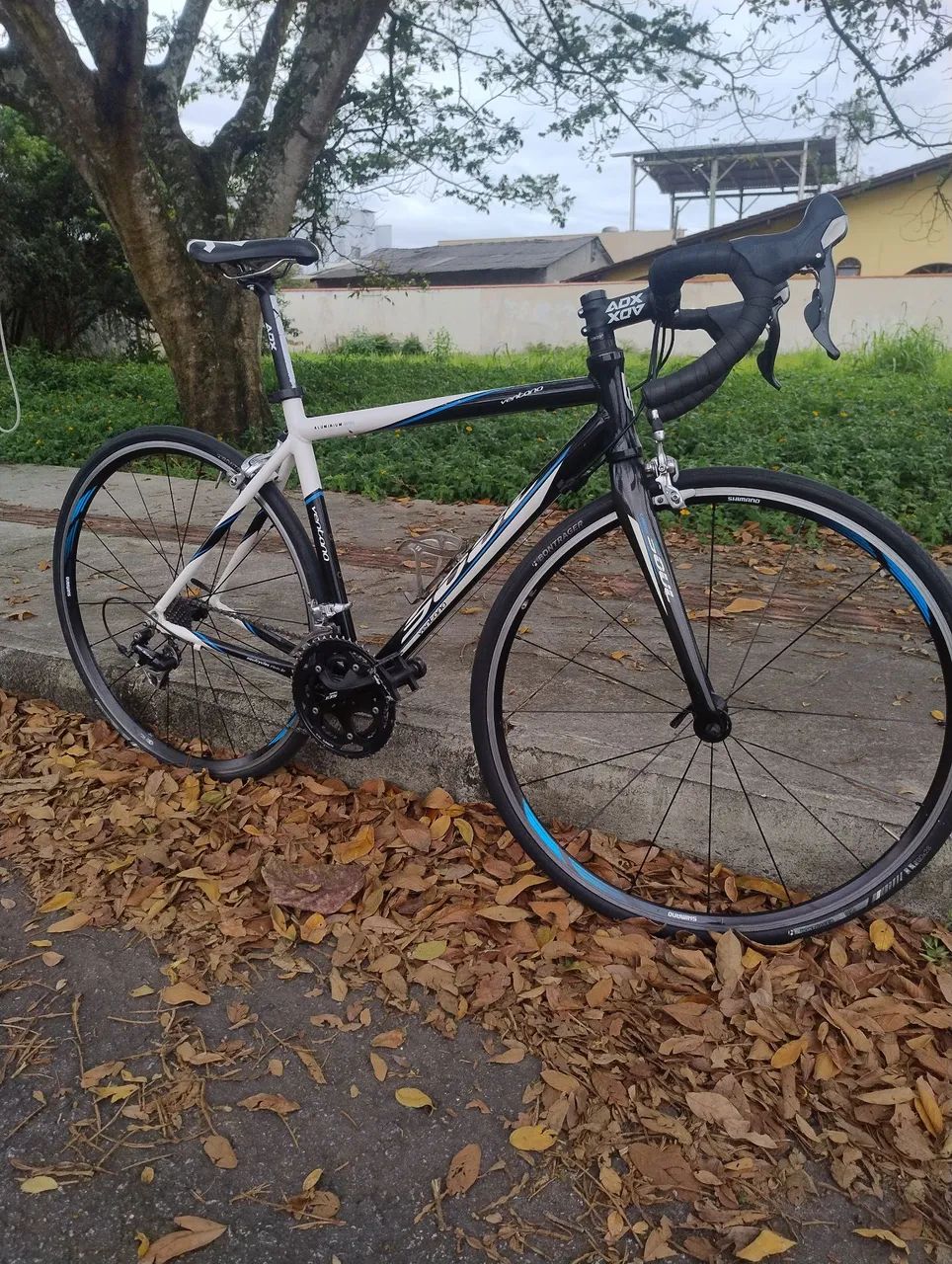Speed soul com Ultegra 