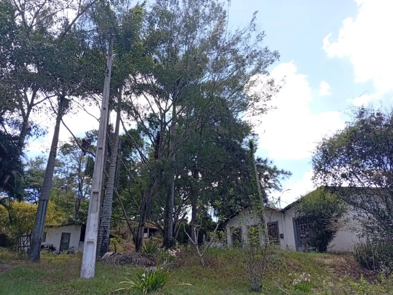 Granja em Bananeiras - Foto 4