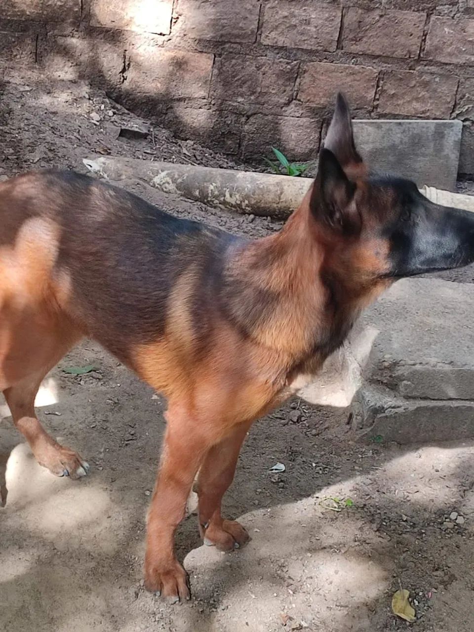 Procura-se 