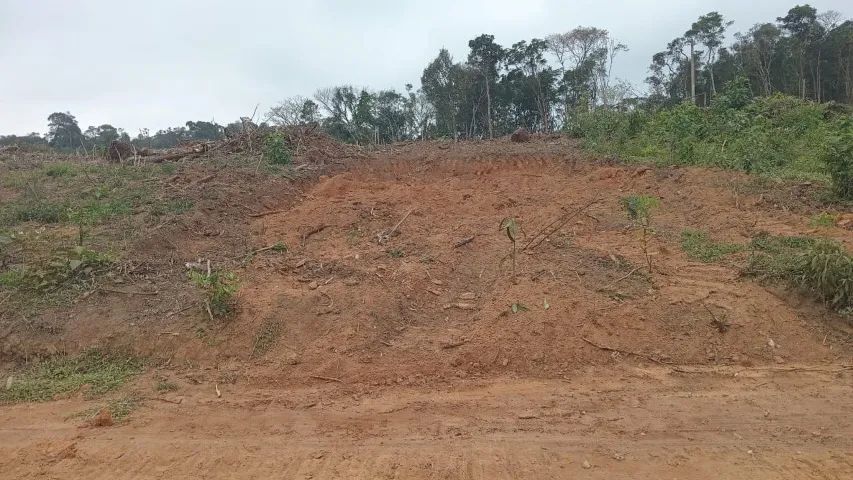 Terreno 5 x30  - Foto 2