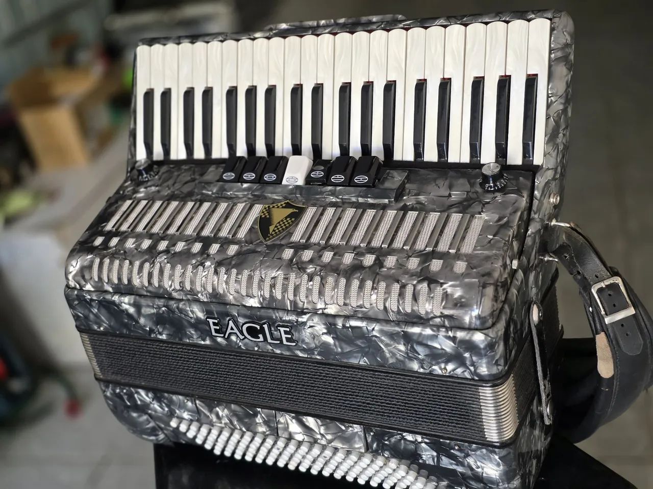 Acordeon 120 baixos já eletrificado com desmanche lateral! 