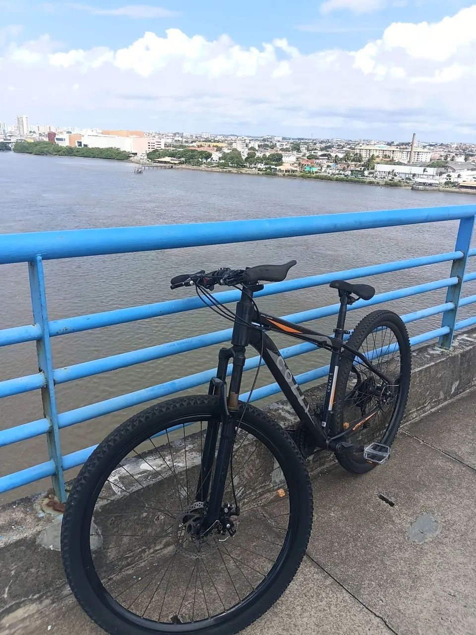 BIKE ARO 29
