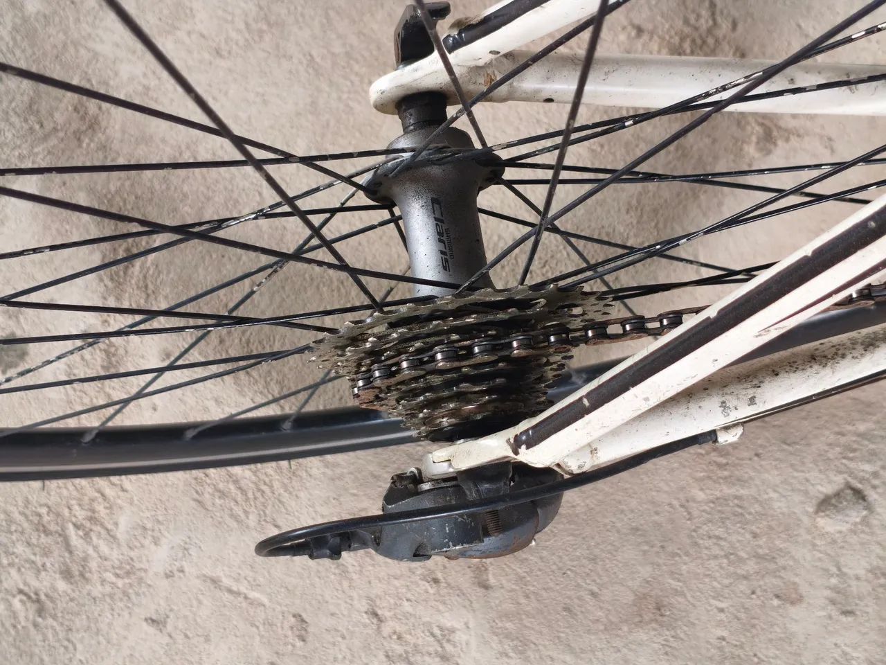 Bike Speed  - Foto 5