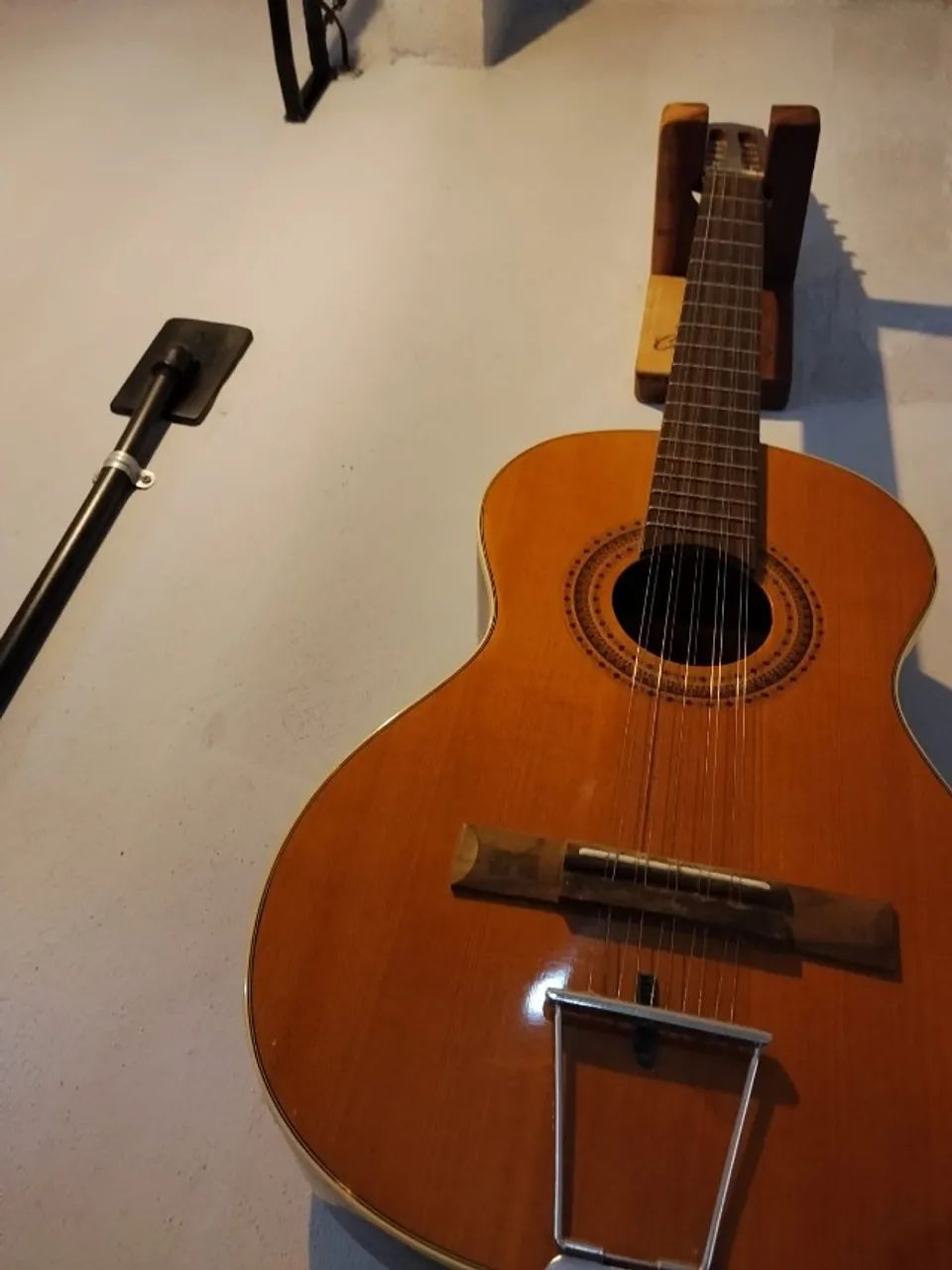 Viola - Foto 3
