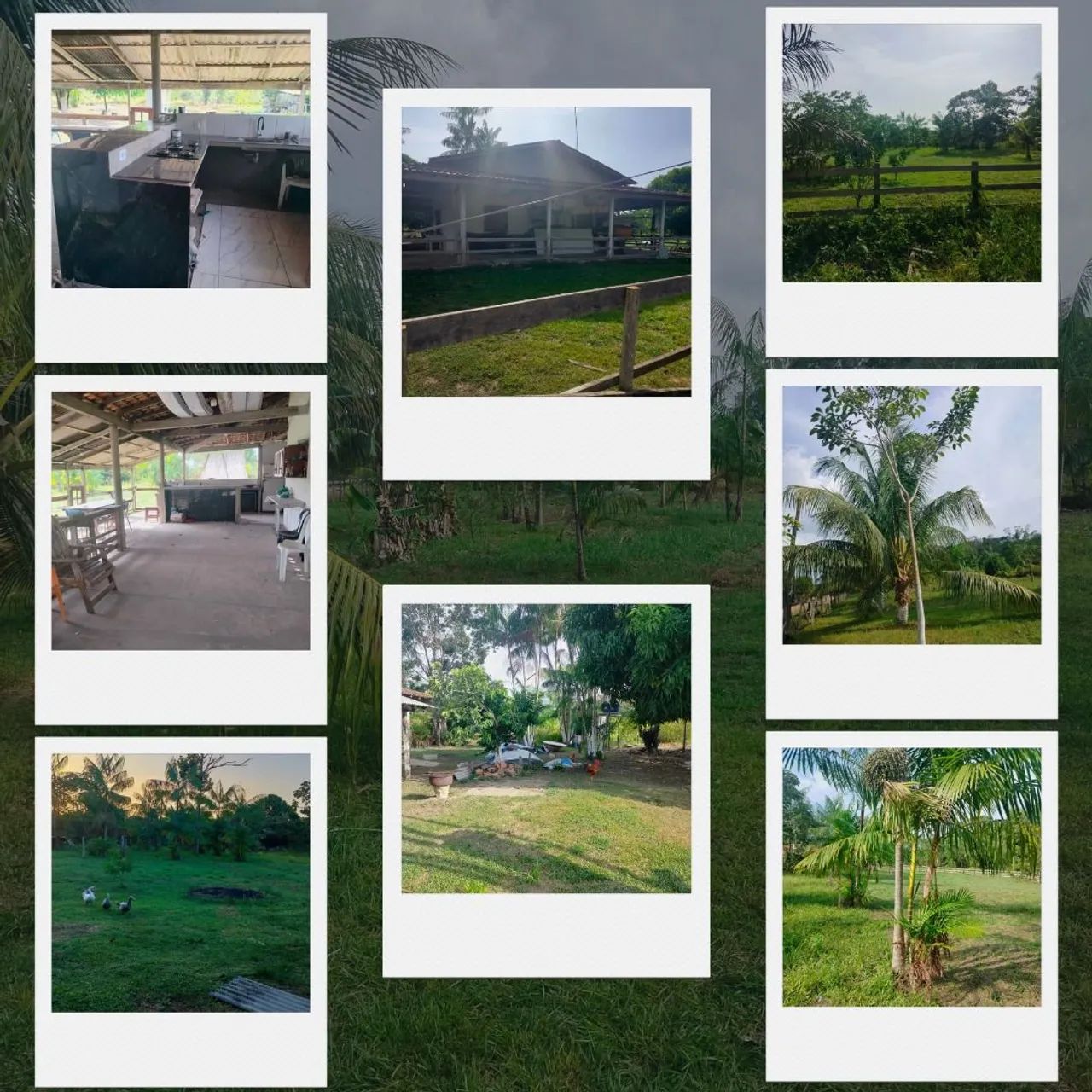 Fazendinha em Mosqueiro. - Foto 3