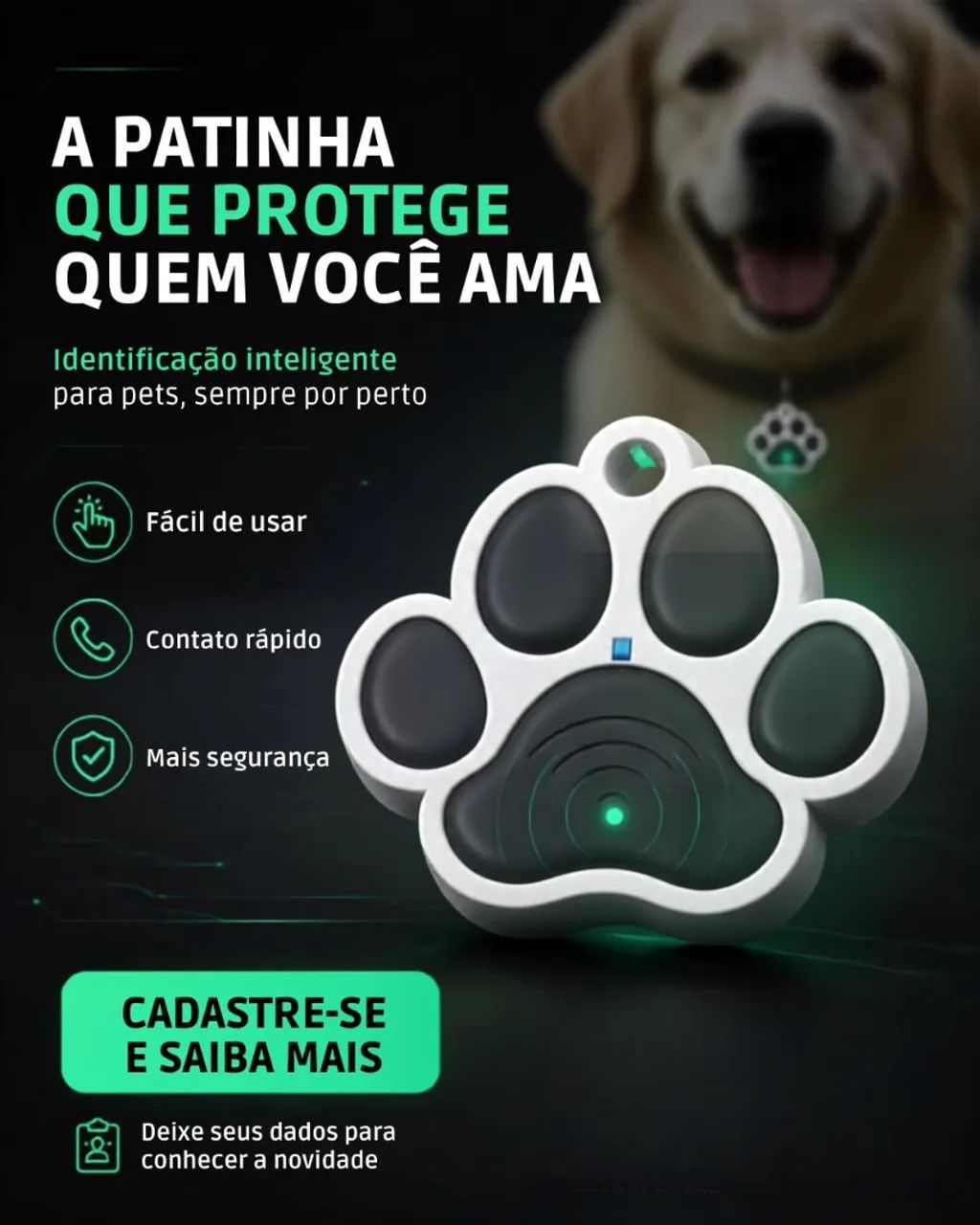 Proteja seu pets  - Foto 4