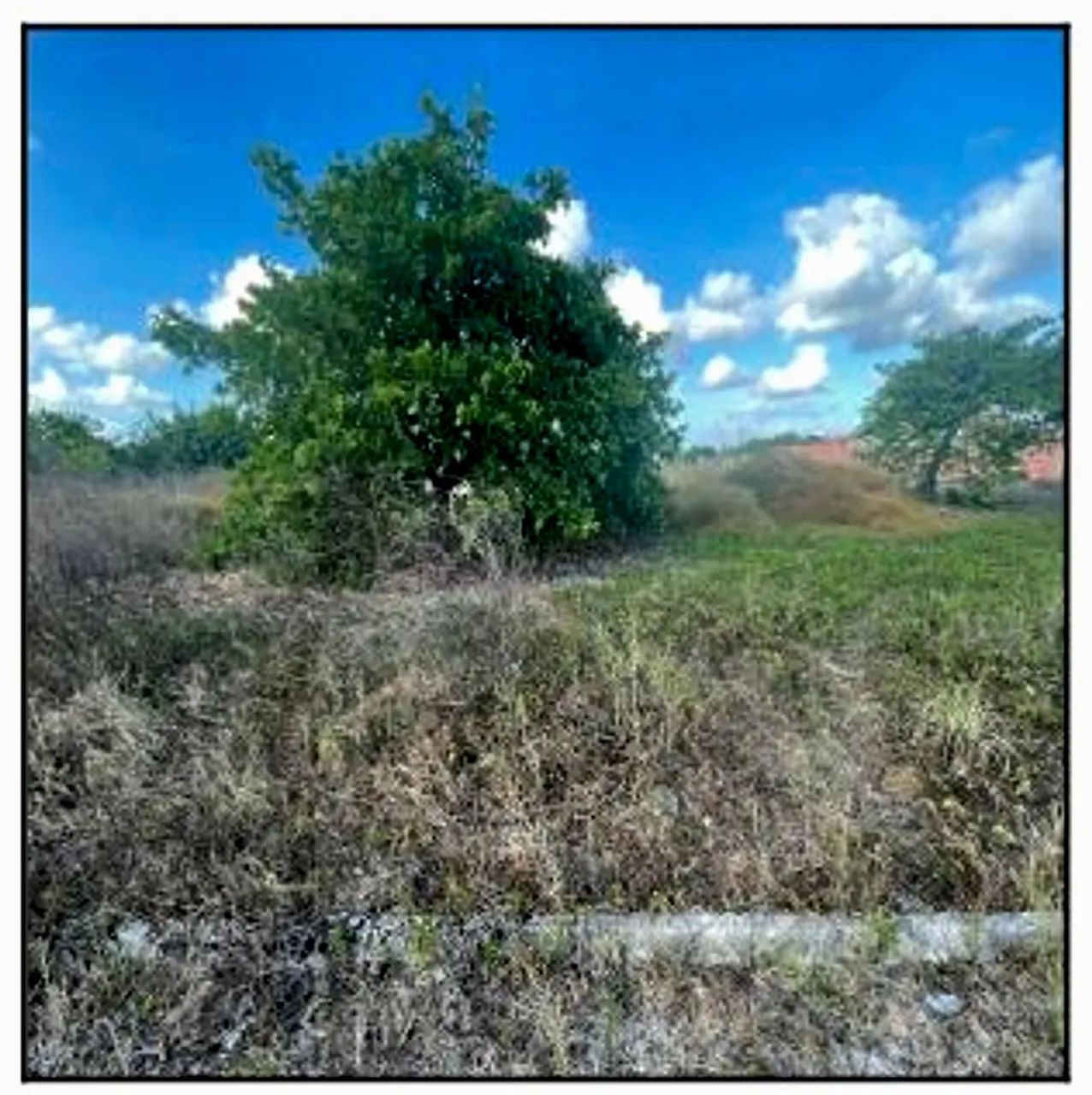 Terreno no DOURADO em Horizonte/CE - Caixa 10189033