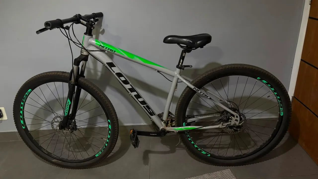 Bicicleta 