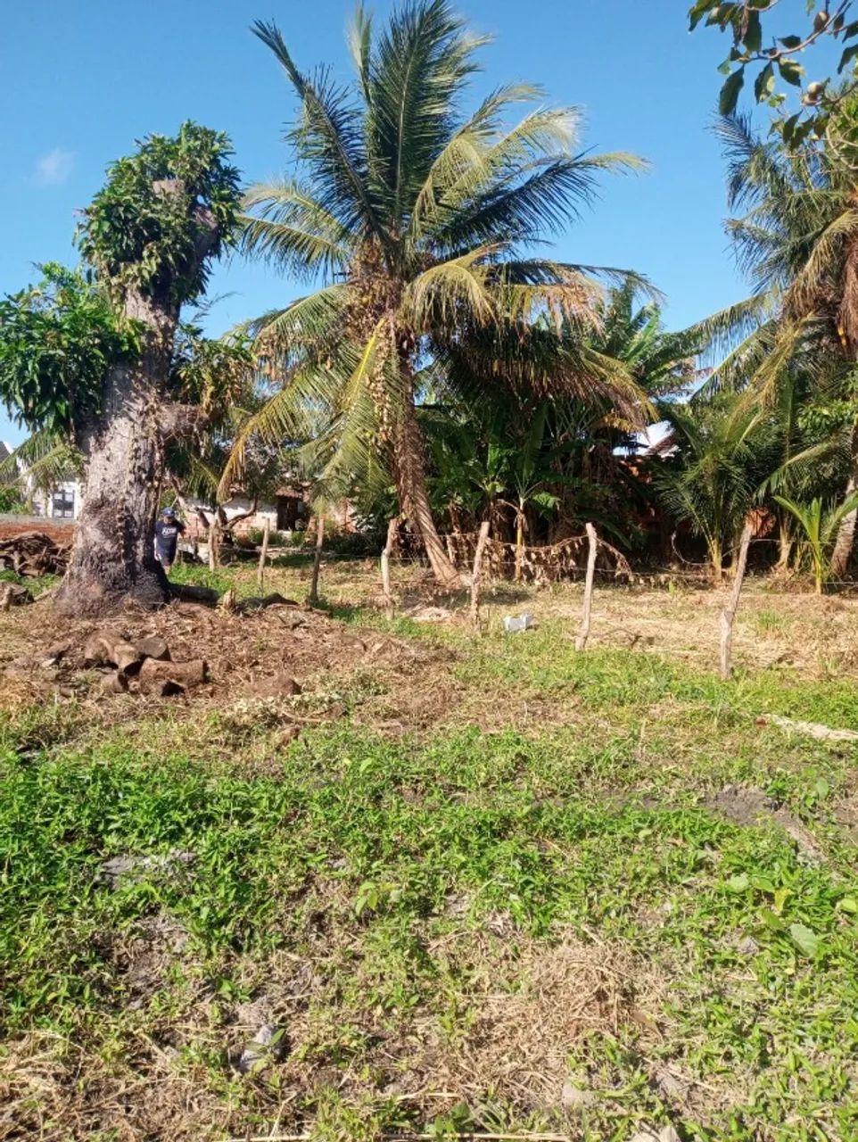Terreno a venda  - Foto 4