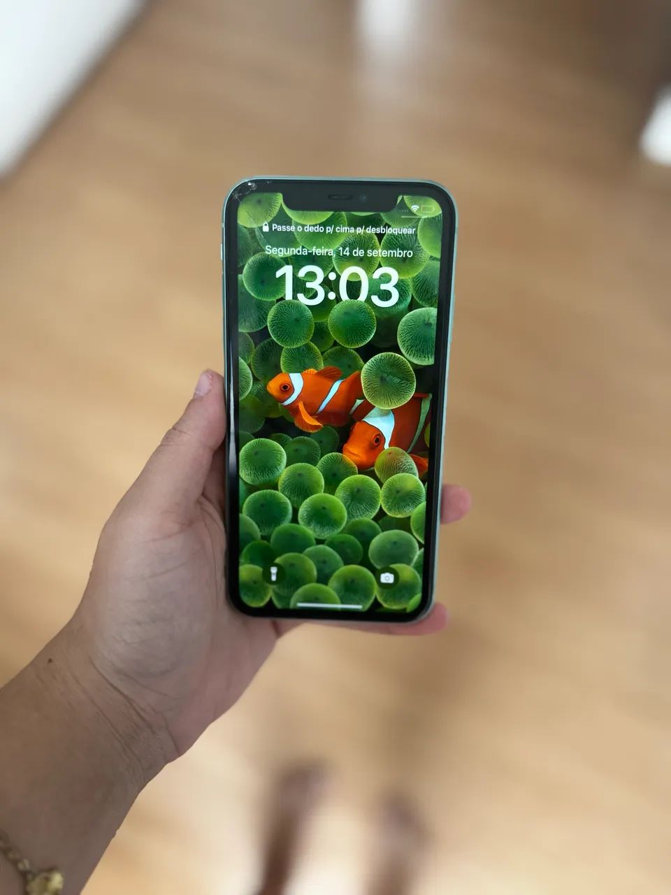 iPhone 11 verde 