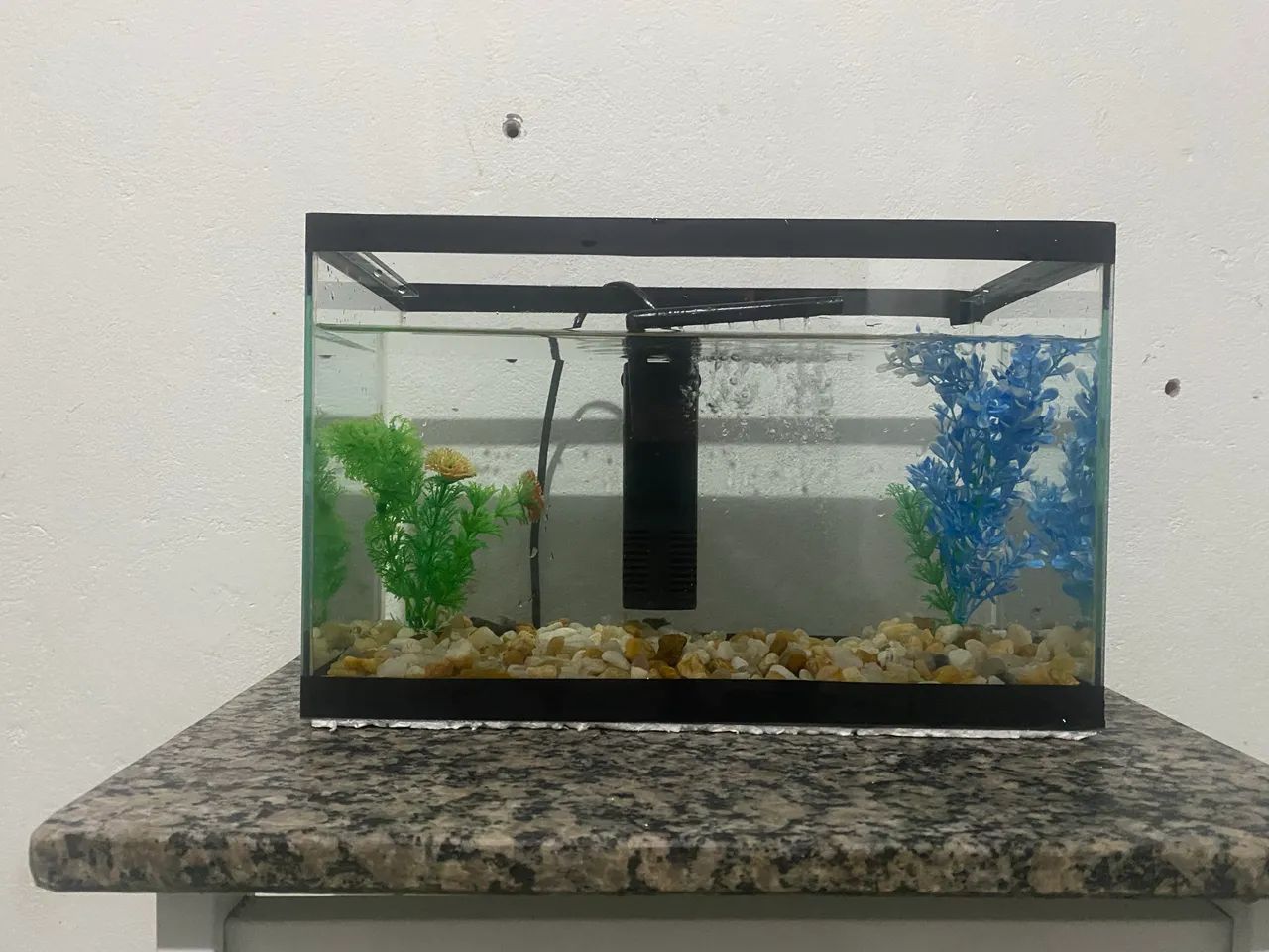 Aquario  - Foto 3