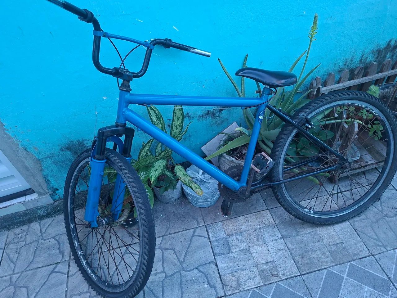 Bicicleta 