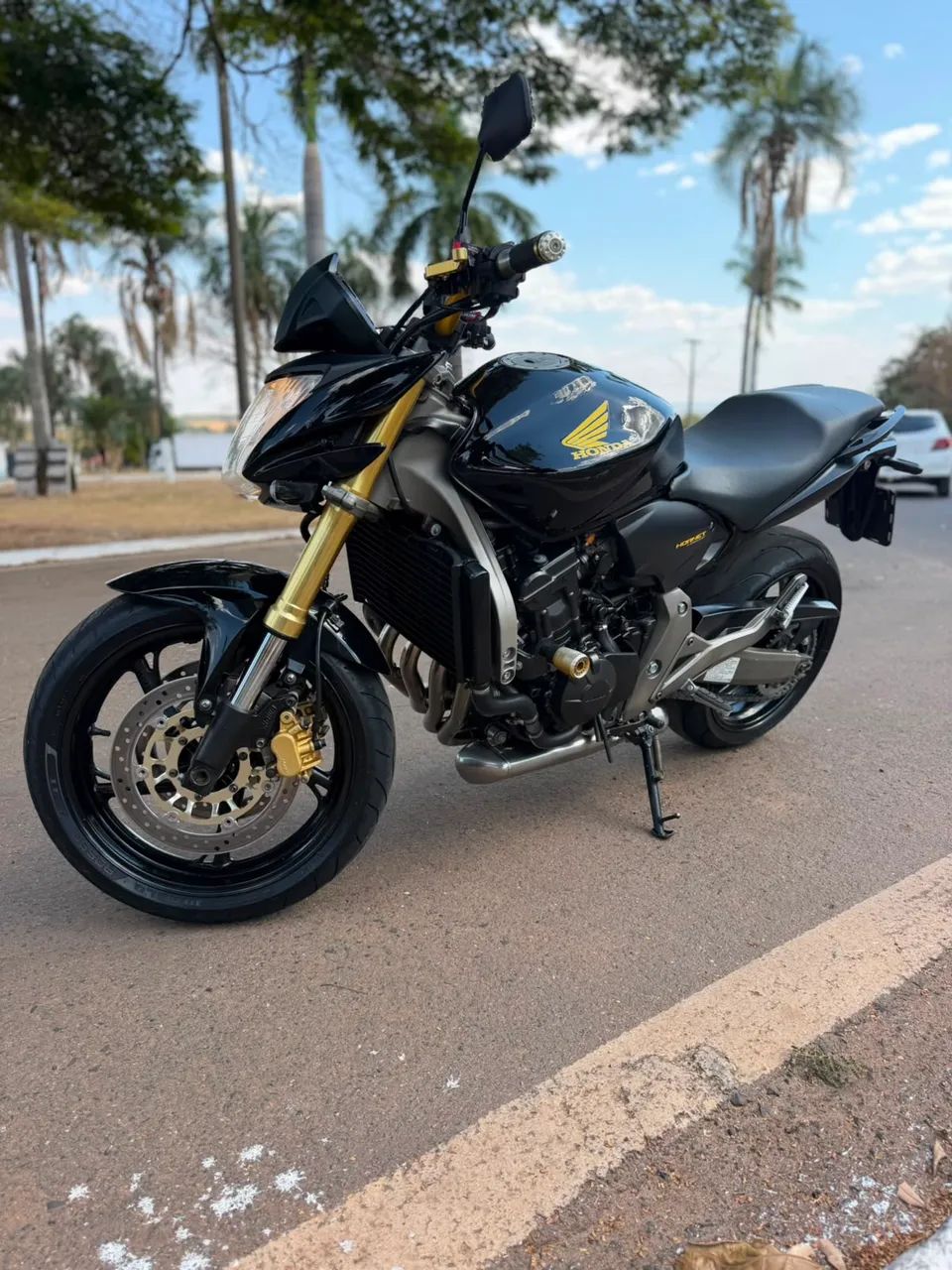 Hornet 