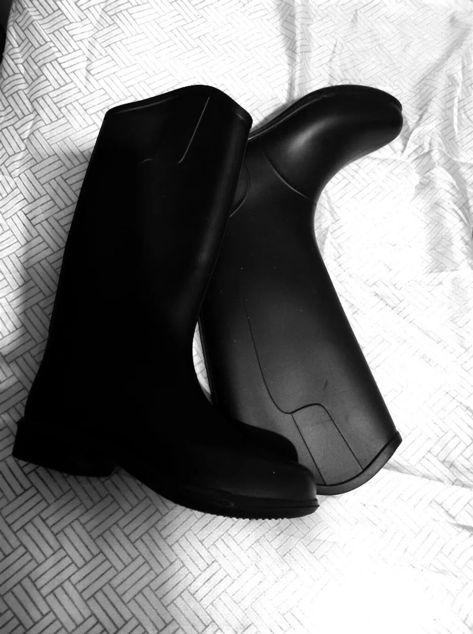 Bota hipismo 