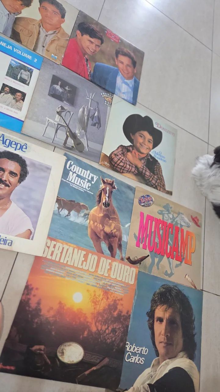 16 Discos SERTANEJO (valor lote) - Foto 2