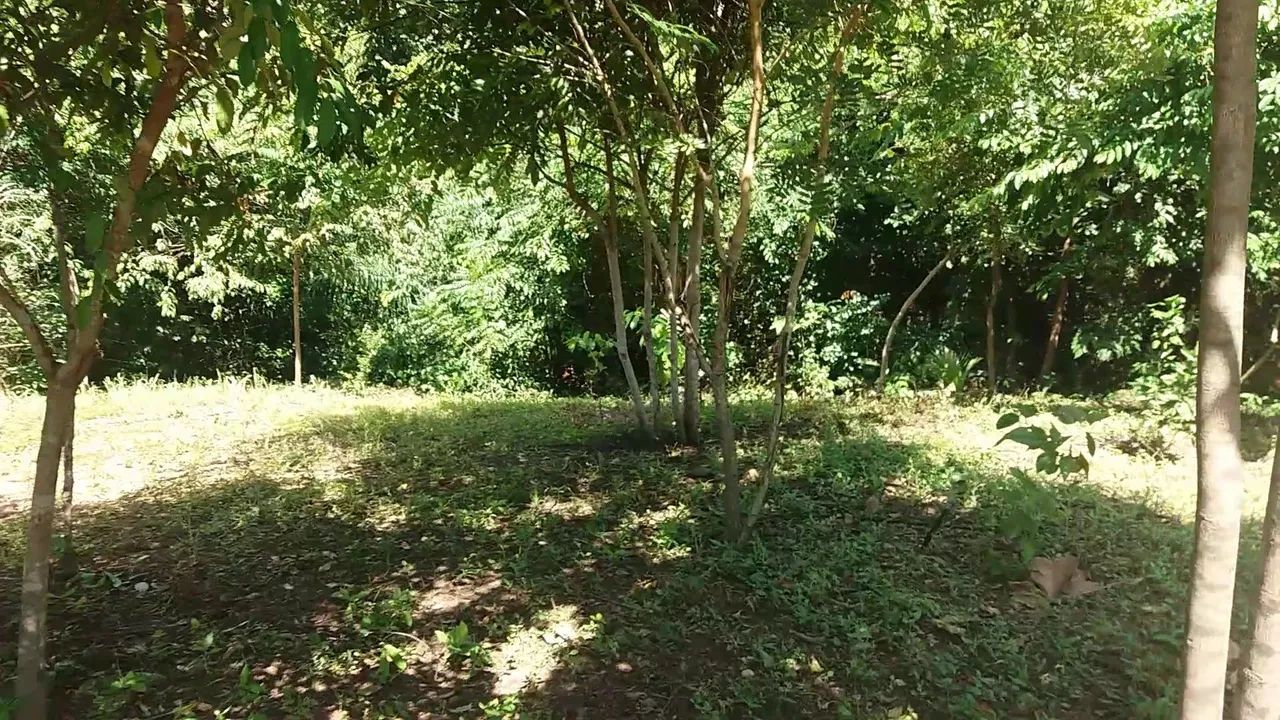 Chácara bem localazada - Foto 5