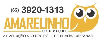 Vaga emprego serviços gerais com CNH