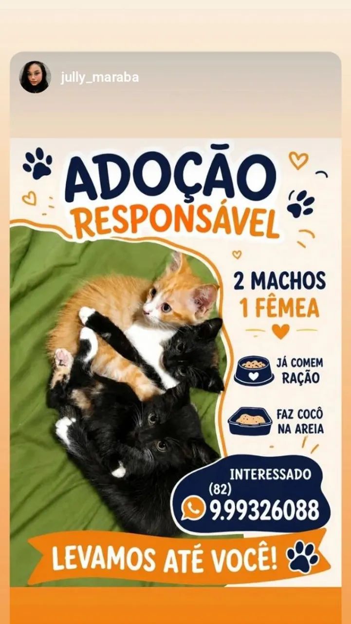 Doação responsável 