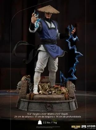Raiden Iron Studios - Foto 2
