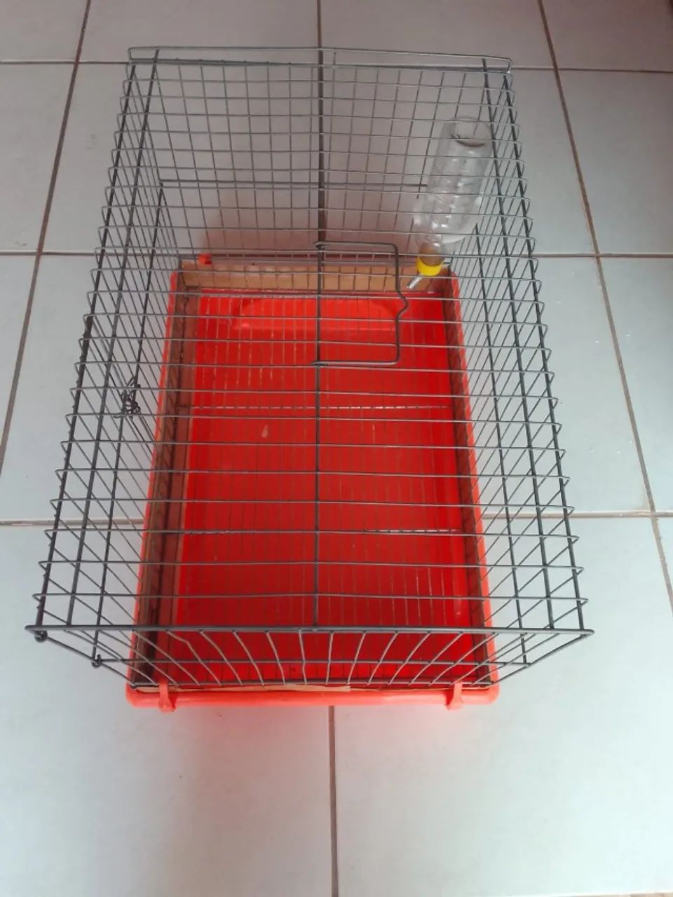 Gaiola Porquinho da Índia - Foto 4