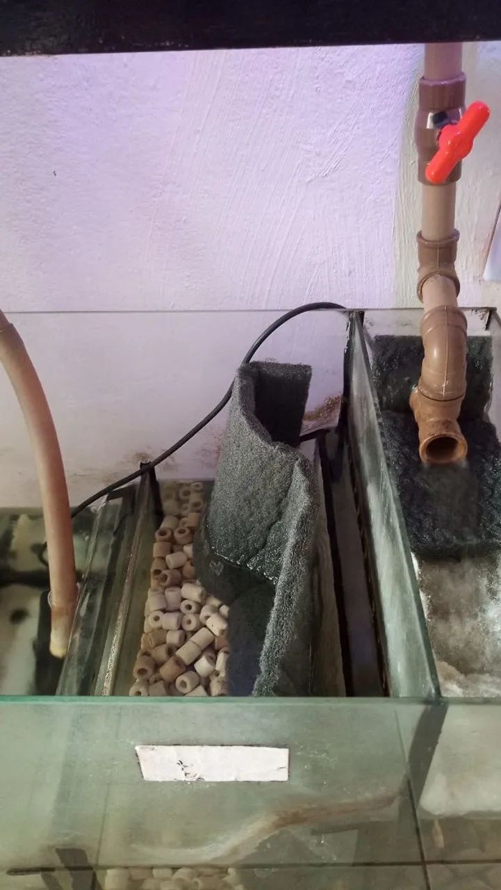 Aquário  - Foto 5