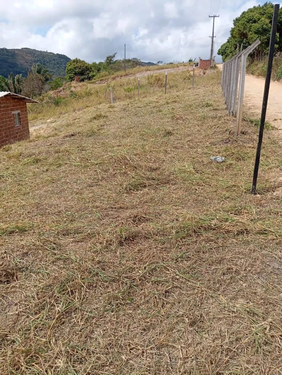 Vendo e troco sítio em chá grande  - Foto 3