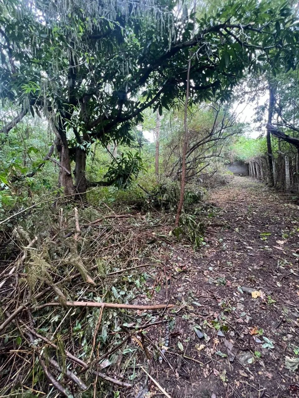 Terreno para chácara com 3000 m² - Foto 3